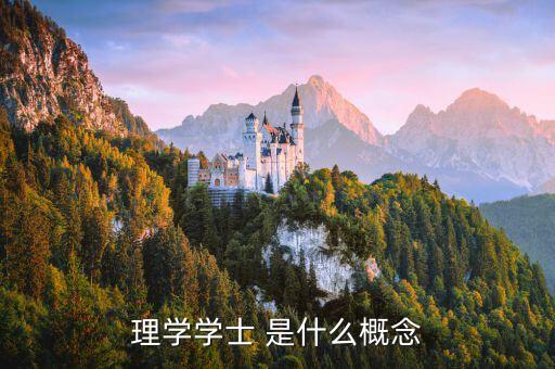 理學(xué)學(xué)士，理學(xué)學(xué)士 是什么概念