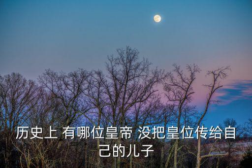 歷史上 有哪位皇帝 沒把皇位傳給自己的兒子