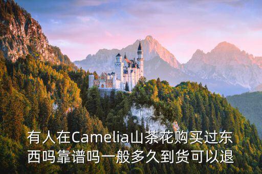 camelia，Chanel 鉆戒多少錢