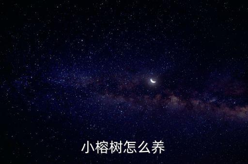 小榕樹，小榕樹怎么養