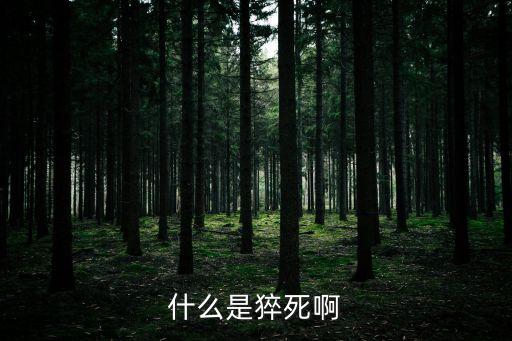 猝死是什么意思，什么是猝死啊