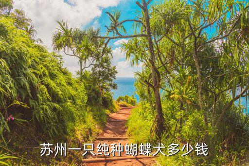 蝴蝶犬價(jià)格，有誰知道蝴蝶犬的價(jià)格