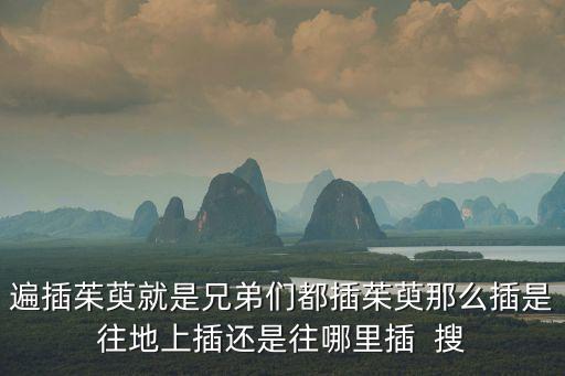 插茱萸，插茱萸這三個字怎么讀