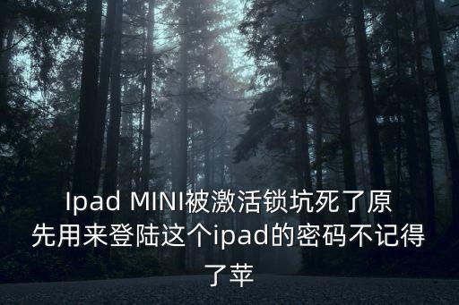 Ipad MINI被激活鎖坑死了原先用來登陸這個ipad的密碼不記得了蘋