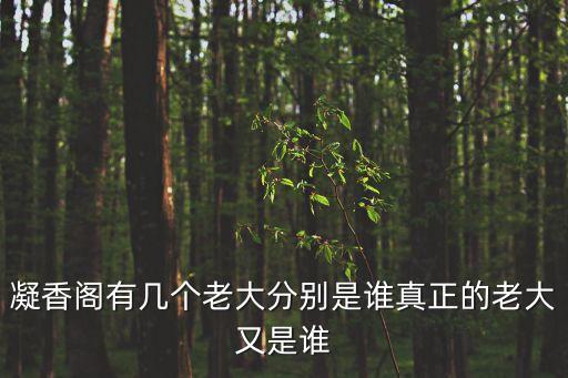 丁香閣，哪里有可以買書法或字畫裱框的地方