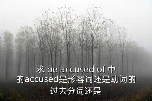 求 be accused of 中的accused是形容詞還是動(dòng)詞的過去分詞還是