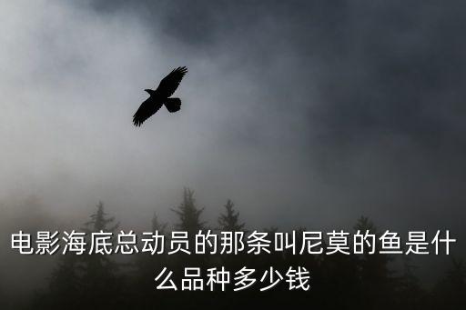 電影海底總動員的那條叫尼莫的魚是什么品種多少錢