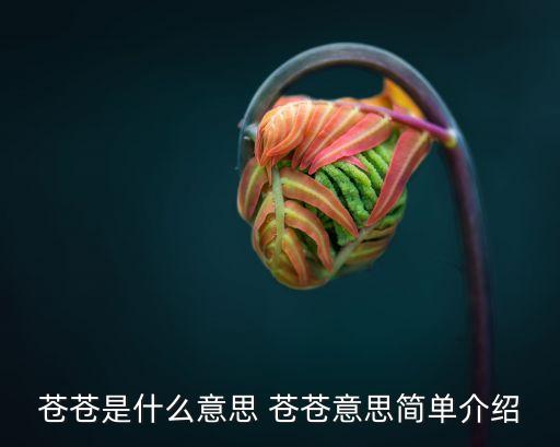 蒼蒼，蒼蒼是什么意思 蒼蒼意思簡單介紹
