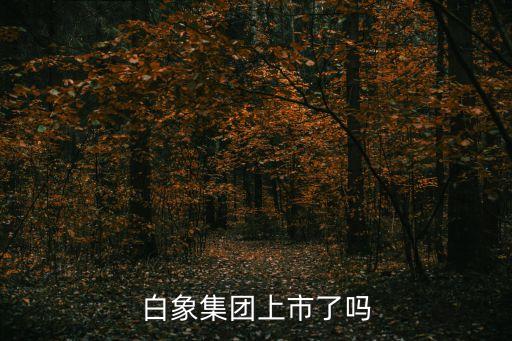 白象集團上市了嗎