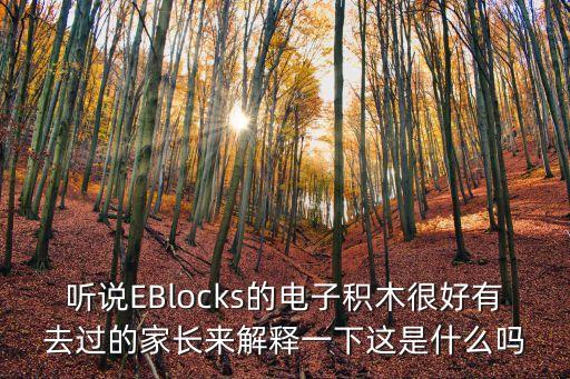 blocks積木，blocks當(dāng)積木講時(shí)是復(fù)數(shù)形式么