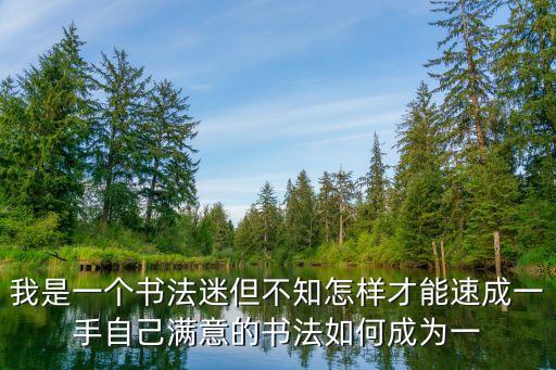 我是一個書法迷但不知怎樣才能速成一手自己滿意的書法如何成為一
