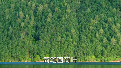 荷葉簡筆畫，幼兒怎么畫荷葉