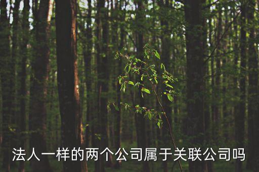 法人一樣的兩個公司屬于關聯公司嗎