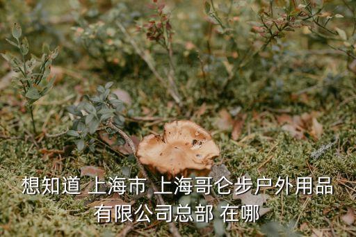 哥侖步，哥倫布 與哥侖步是一個牌子嗎