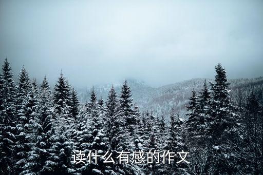 讀什么有感，讀什么有感的作文