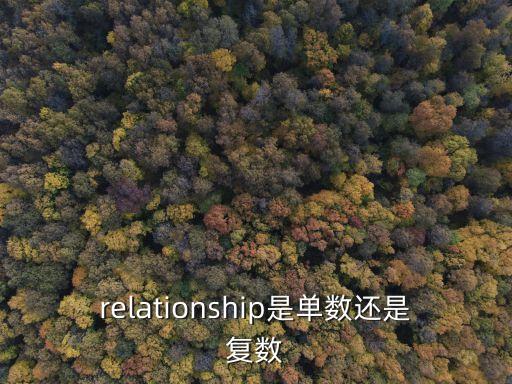 relationship是單數(shù)還是復(fù)數(shù)