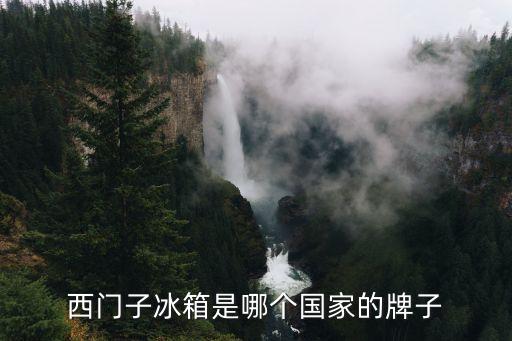 德國西門子，西門子哪個國家