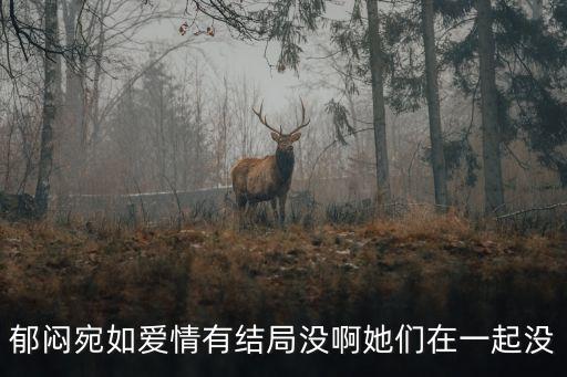 郁悶宛如愛情有結局沒啊她們在一起沒