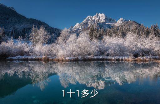 1十1多少