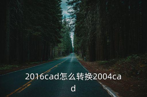 2016cad怎么轉換2004cad