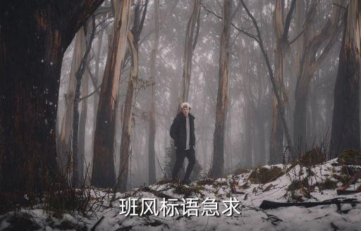 班風標語急求