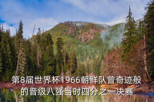 1966年世界杯，英格蘭世界杯冠軍是哪年