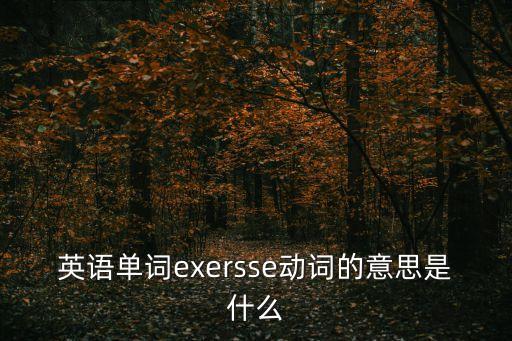 英語單詞exersse動詞的意思是什么