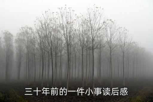 三十年前的一件小事讀后感