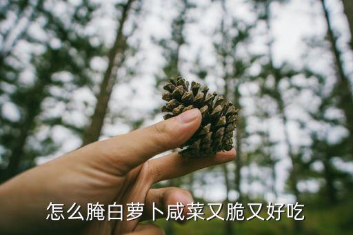 白蘿卜怎么腌好吃，怎樣鹽白蘿卜咸菜好吃