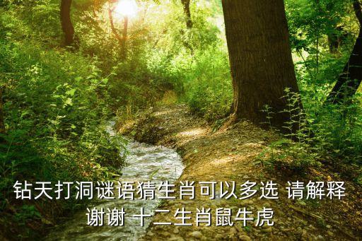 鉆天打洞，鉆天打洞甚么意思