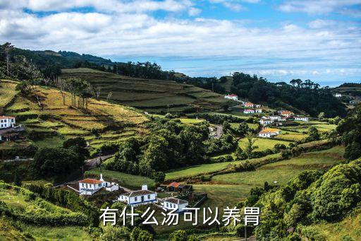 養(yǎng)胃湯，有什么湯可以養(yǎng)胃
