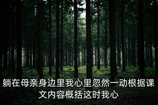 躺在母親身邊，躺在母親身邊里我心里忽然一動根據課文內容概括這時我心