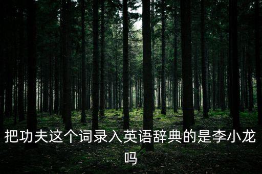 功夫的英語，功夫這個單詞的寫法