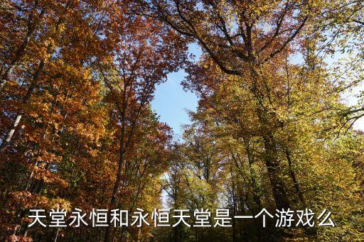 天堂永恒和永恒天堂是一個游戲么
