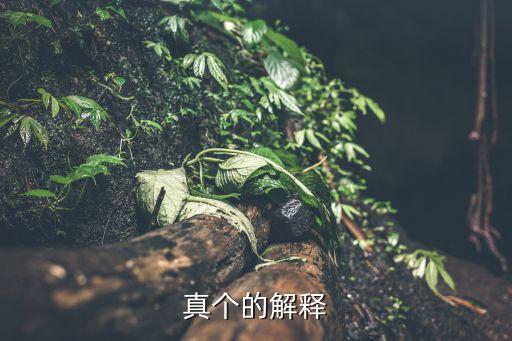 真個，真個符號怎么