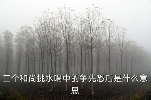 三個和尚挑水喝中的爭先恐后是什么意思