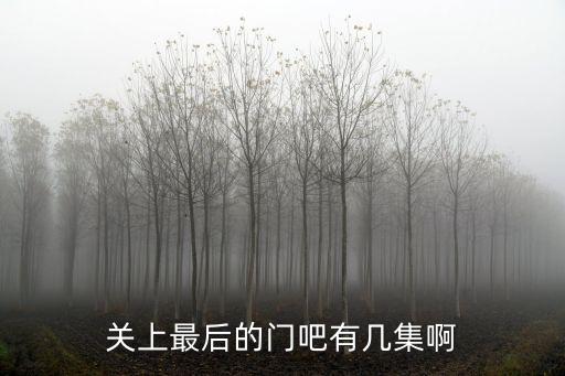 關上最后的門吧有幾集啊