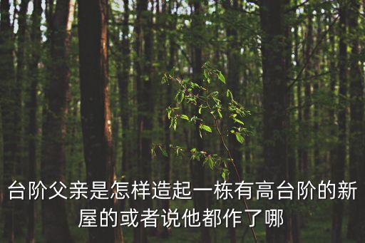 臺階父親是怎樣造起一棟有高臺階的新屋的或者說他都作了哪