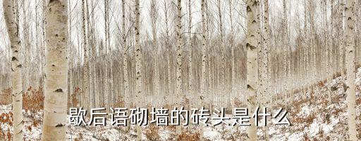 砌墻的磚頭，砌墻的磚頭