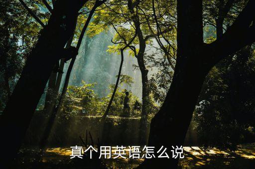 真個用英語怎么說