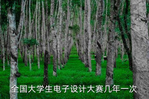 全國大學生電子設計大賽幾年一次