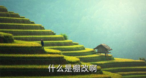 棚改，什么是棚改啊