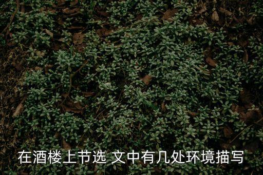 在酒樓上節選 文中有幾處環境描寫