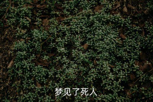 夢見了死人