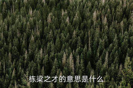 棟梁之才的意思是什么