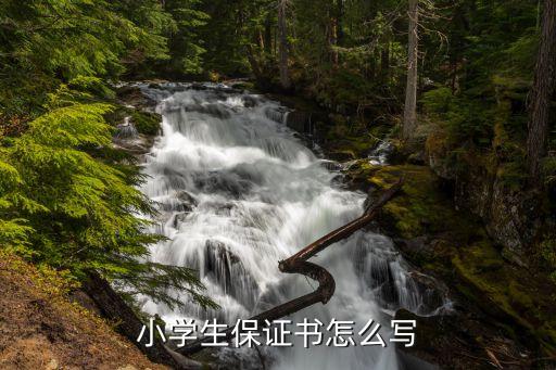 小學(xué)生保證書，小學(xué)生保證書怎么寫