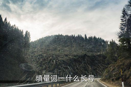 一什么長，一技之長 的含義 是什么