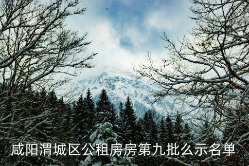 咸陽(yáng)市政府，咸陽(yáng)公租房如何查詢