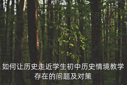 如何讓歷史走近學生初中歷史情境教學存在的問題及對策
