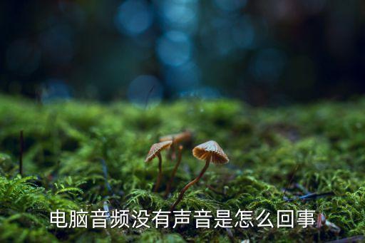 電腦沒有聲音是什么原因，電腦不出聲是什么原因引起的